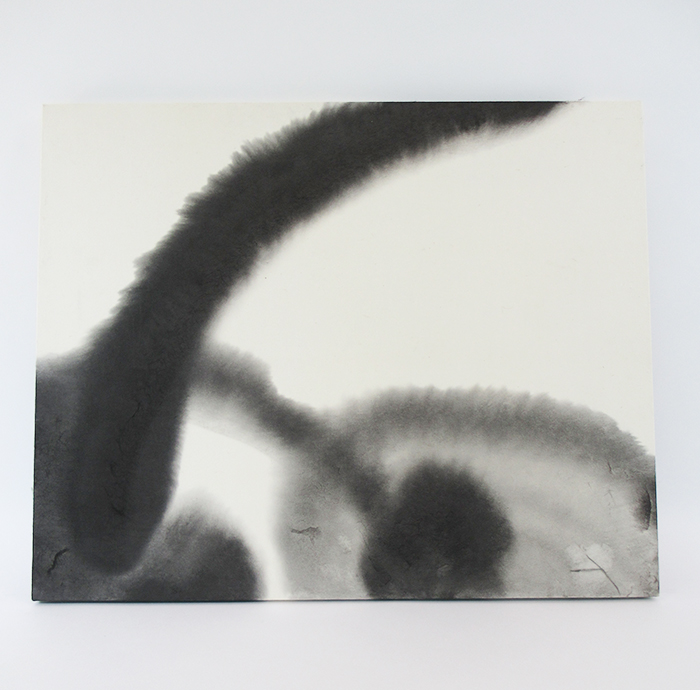 Yuki Sato　No,1002
