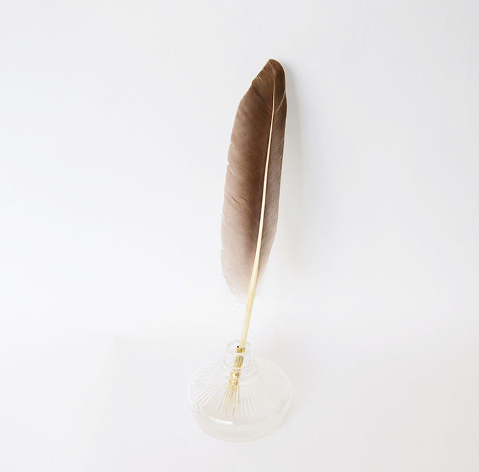 羽根ペン　Brown