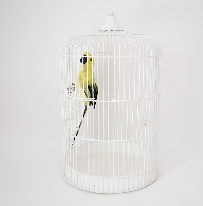 鳥かご　White