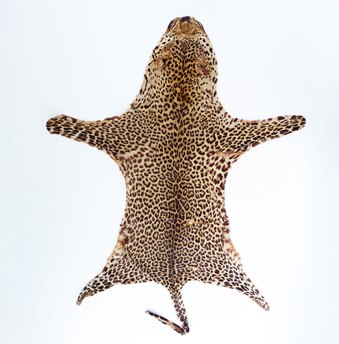 ヒョウマット